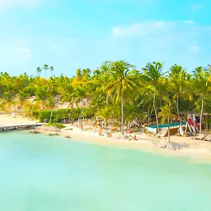Mayan Monkey - Social (adults Only) Mexico